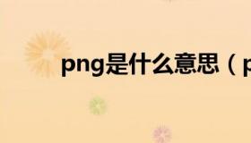 png是什么意思（pn是什么意思）