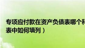 专项应付款在资产负债表哪个科目（专项应付款在资产负债表中如何填列）