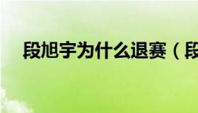 段旭宇为什么退赛（段旭宇黑易烊千玺）