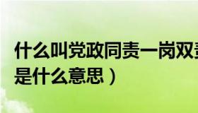 什么叫党政同责一岗双责（党政同责一岗双责是什么意思）