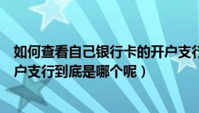 如何查看自己银行卡的开户支行（怎样查询自己银行卡的开户支行到底是哪个呢）