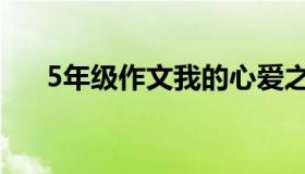 5年级作文我的心爱之物（5年级作文）