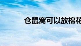 仓鼠窝可以放棉花吗（仓鼠窝）