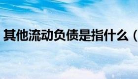 其他流动负债是指什么（流动负债是指什么）