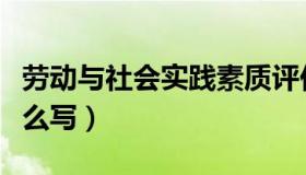 劳动与社会实践素质评价怎么写（素质评价怎么写）