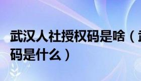 武汉人社授权码是啥（武汉社保个人查询授权码是什么）