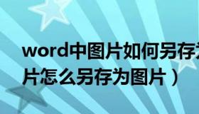 word中图片如何另存为图片（word中的图片怎么另存为图片）