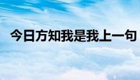 今日方知我是我上一句（今日方知我是我）