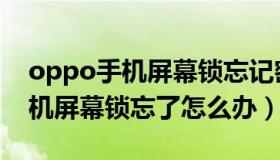 oppo手机屏幕锁忘记密码怎么办（oppo手机屏幕锁忘了怎么办）