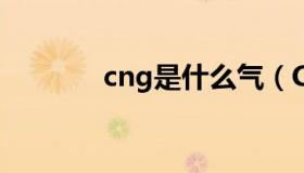 cng是什么气（CNG是什么）