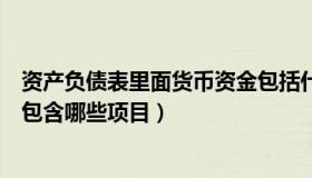 资产负债表里面货币资金包括什么（资产负债表中货币资金包含哪些项目）