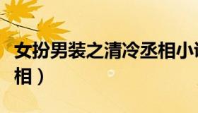 女扮男装之清冷丞相小说（女扮男装之清冷丞相）