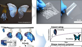 受蝴蝶启发的设计打造可折皱可恢复的电子产品