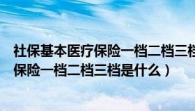 社保基本医疗保险一档二档三档是什么意思（社保基本医疗保险一档二档三档是什么）