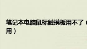 笔记本电脑鼠标触摸板用不了（笔记本电脑鼠标触摸板怎么用）