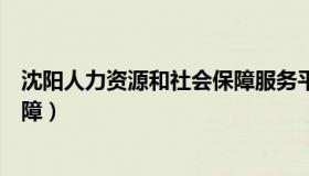 沈阳人力资源和社会保障服务平台（沈阳人力资源和社会保障）