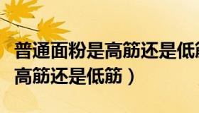 普通面粉是高筋还是低筋或中筋（普通面粉是高筋还是低筋）