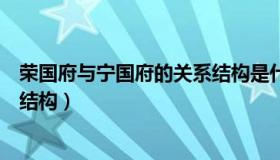 荣国府与宁国府的关系结构是什么（荣国府与宁国府的关系结构）