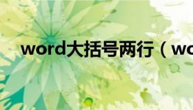 word大括号两行（word大括号两排字）