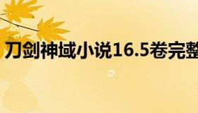 刀剑神域小说16.5卷完整版（刀剑神域小说）