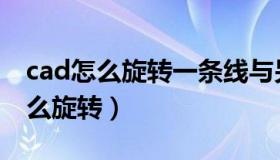 cad怎么旋转一条线与另一条线平行（cad怎么旋转）