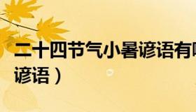 二十四节气小暑谚语有哪些（二十四节气小暑谚语）