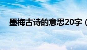 墨梅古诗的意思20字（墨梅古诗的意思）