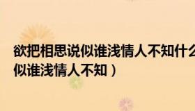 欲把相思说似谁浅情人不知什么意思欲字意思（欲把相思说似谁浅情人不知）