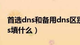 首选dns和备用dns区别（首选dns和备用dns填什么）