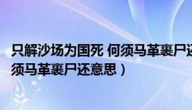 只解沙场为国死 何须马革裹尸还的意思（只解沙场为国死何须马革裹尸还意思）