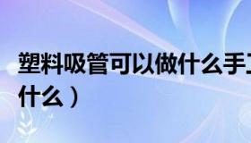 塑料吸管可以做什么手工吗（塑料吸管可以做什么）