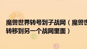 魔兽世界转号到子战网（魔兽世界能不能将一个战网的角色转移到另一个战网里面）