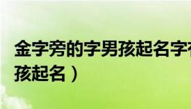 金字旁的字男孩起名字有哪些（金字旁的字男孩起名）