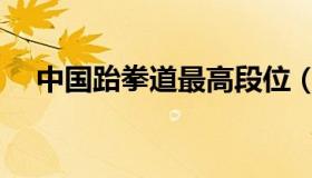 中国跆拳道最高段位（跆拳道最高段位）