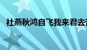 社燕秋鸿自飞我来君去苦相违（社燕秋鸿）