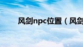 风剑npc位置（风剑任务在哪里接）