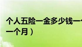 个人五险一金多少钱一个月（五险一金多少钱一个月）