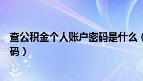 查公积金个人账户密码是什么（住房公积金查询个人账户密码）