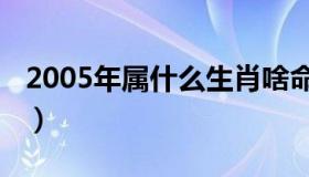 2005年属什么生肖啥命（2005年属什么生肖）