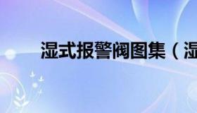 湿式报警阀图集（湿式报警阀图例）