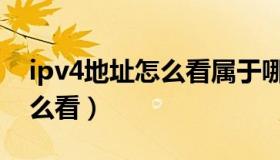 ipv4地址怎么看属于哪个地址（ipv4地址怎么看）