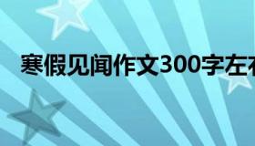 寒假见闻作文300字左右（寒假见闻作文）