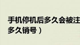 手机停机后多久会被注销手机卡?（手机停机多久销号）