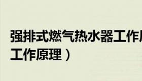 强排式燃气热水器工作原理（强排燃气热水器工作原理）