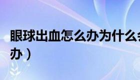 眼球出血怎么办为什么会出血（眼球出血怎么办）