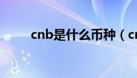 cnb是什么币种（cnh是什么币种）