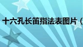 十六孔长笛指法表图片（十六孔长笛指法表）