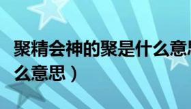 聚精会神的聚是什么意思（聚精会神的会是什么意思）