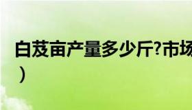 白芨亩产量多少斤?市场价高吗?（白芨亩产量）