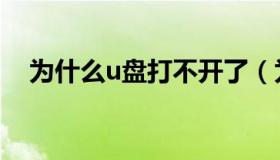 为什么u盘打不开了（为什么u盘打不开）